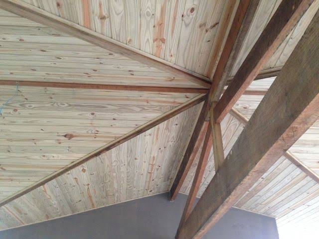 Forro-Pinus-liso